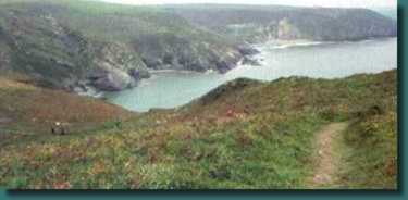 Part of the Pembrokeshire Coastpath